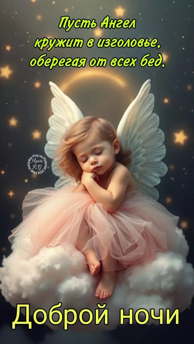 Татьяна Краузе tweet media