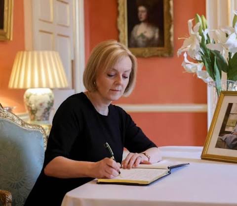 Frogman 🐸🤿 tweet media