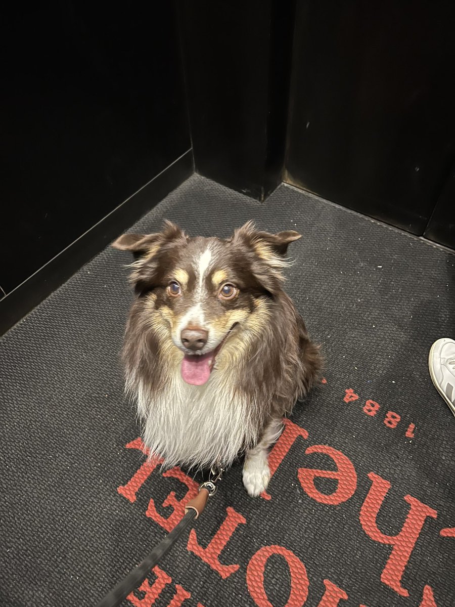 Amanda Chemeche tweet media