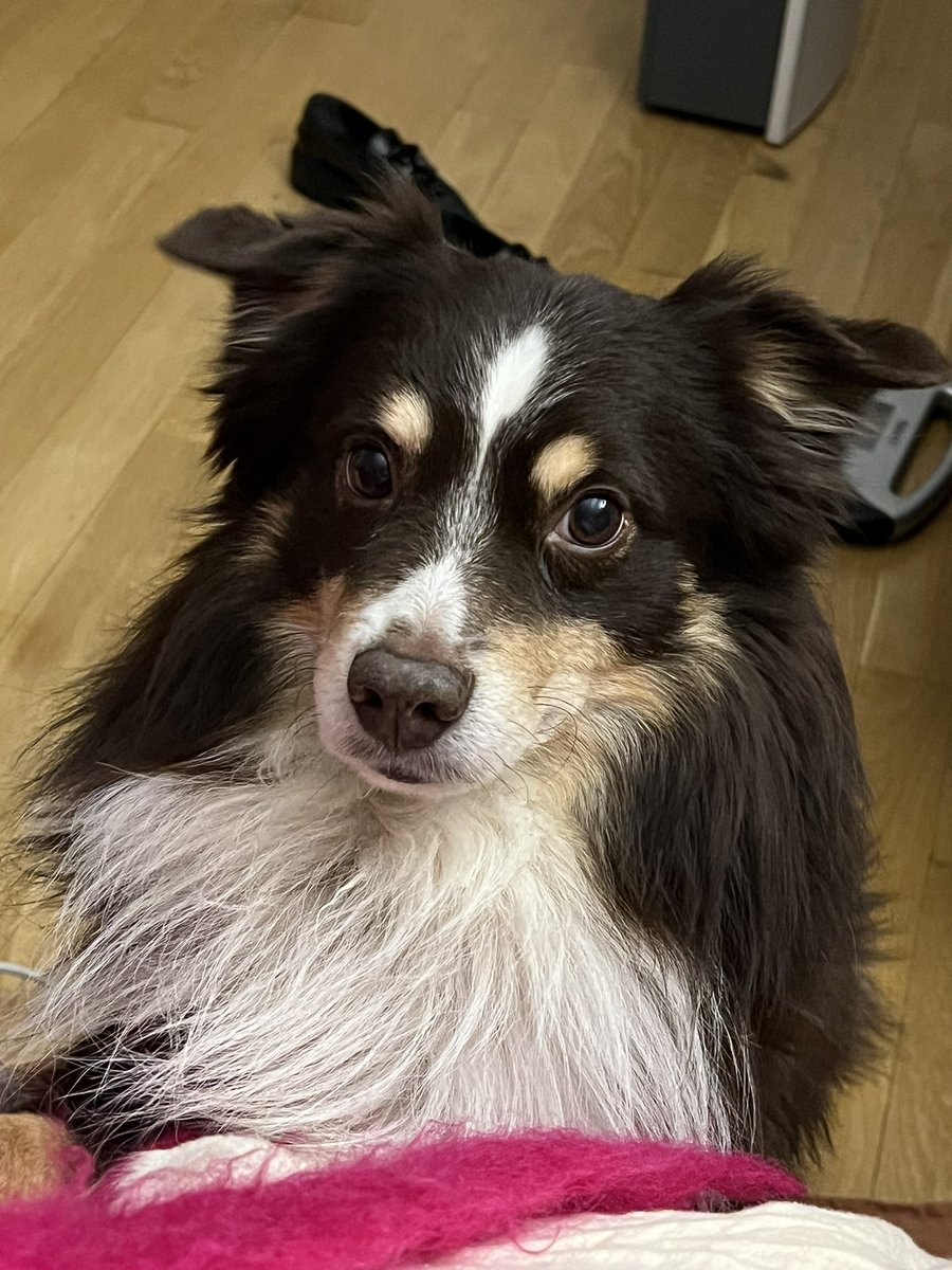 Amanda Chemeche tweet media