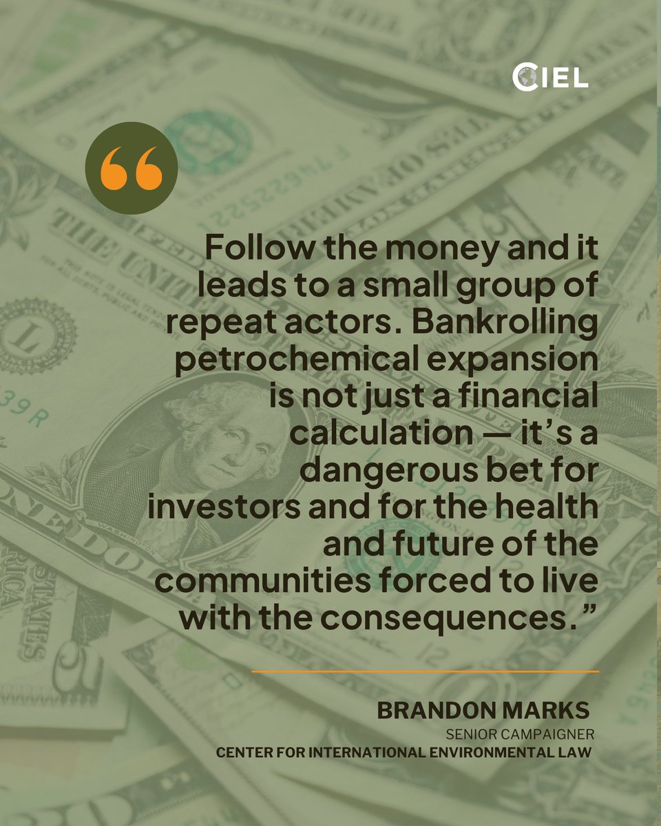 Center for International Environmental Law tweet media