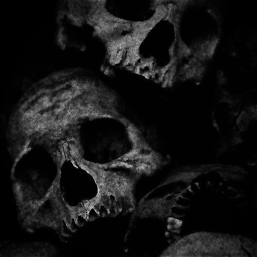 𝐒𝐌𝐎𝐊𝐄 & 𝐒𝐂𝐑𝐄𝐄𝐍 tweet media