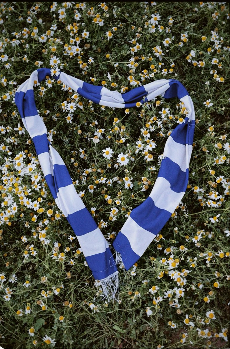 Badr Mohammed tweet media