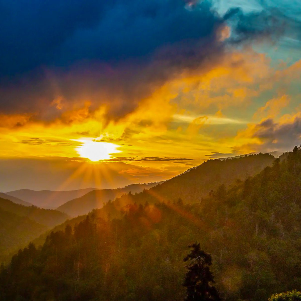 Tennessee Vacation tweet media