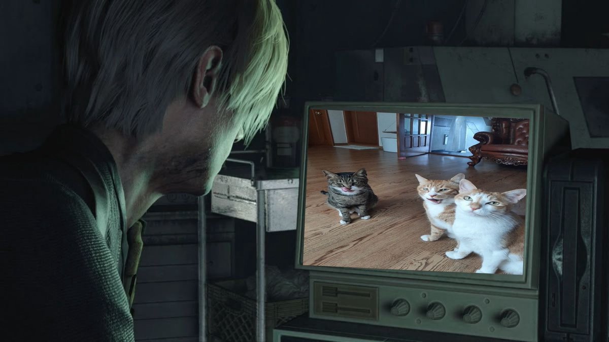 kiwii ˙𐃷˙ tweet media