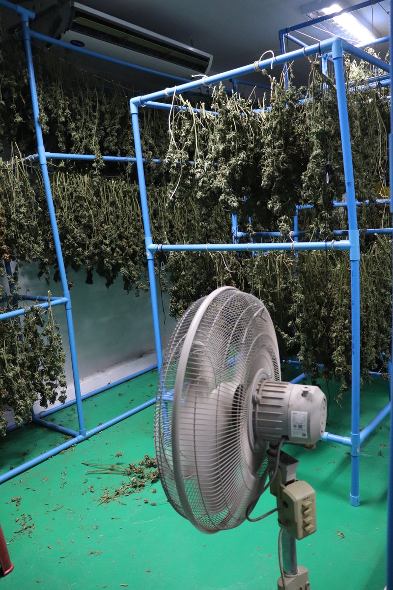 William Wallace tweet media