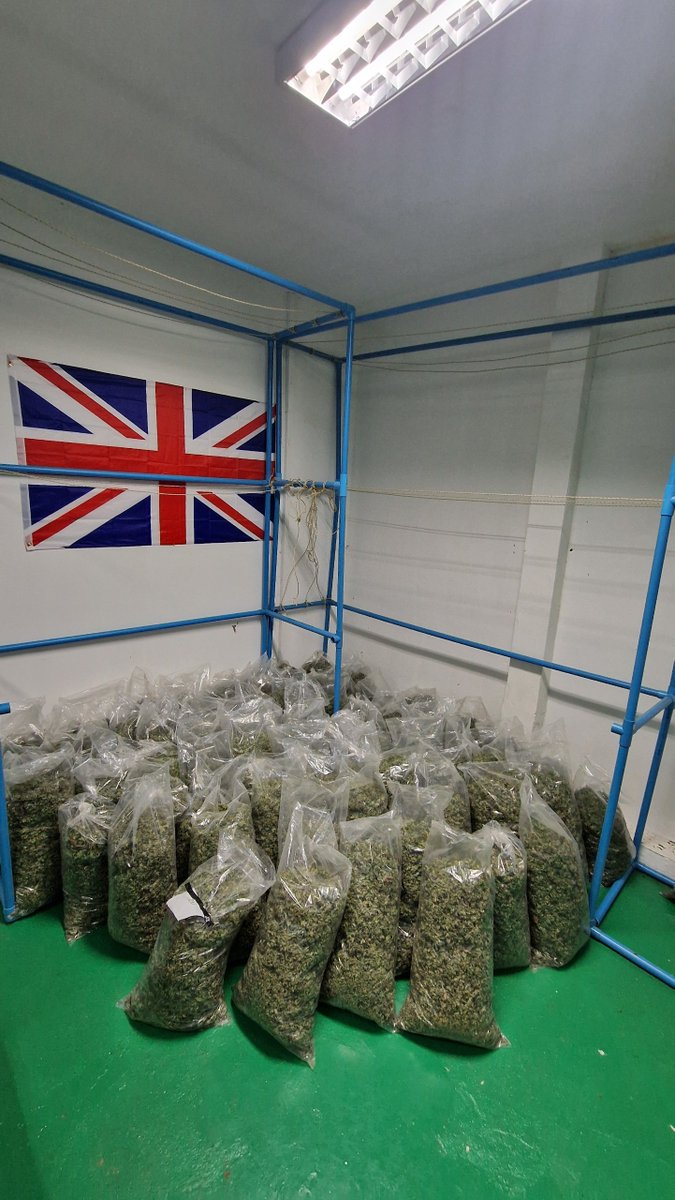 William Wallace tweet media