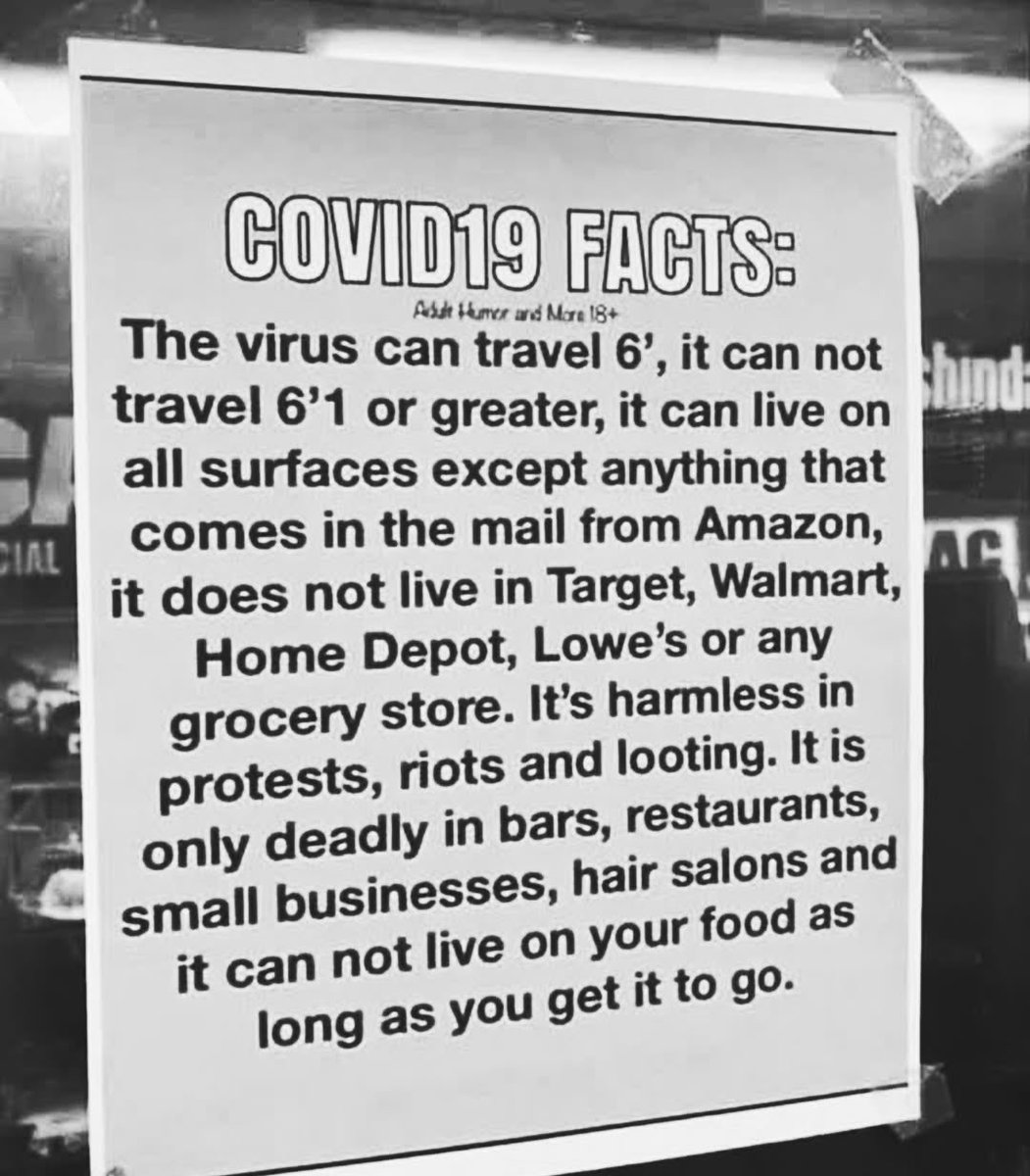 Lumen Rose tweet media