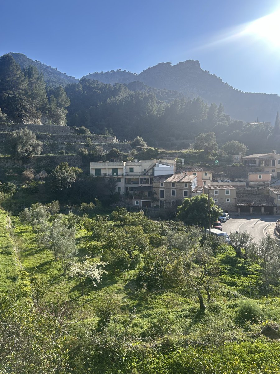 Per Estellencs tweet media