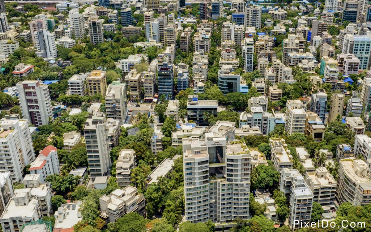 Pranshu Dubey tweet media