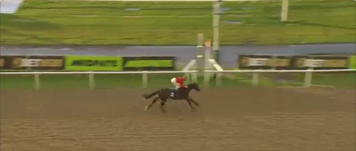 Tips Gaffer tweet media