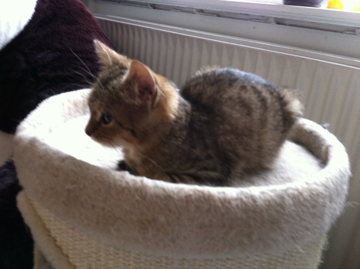 LeMarsey tweet media