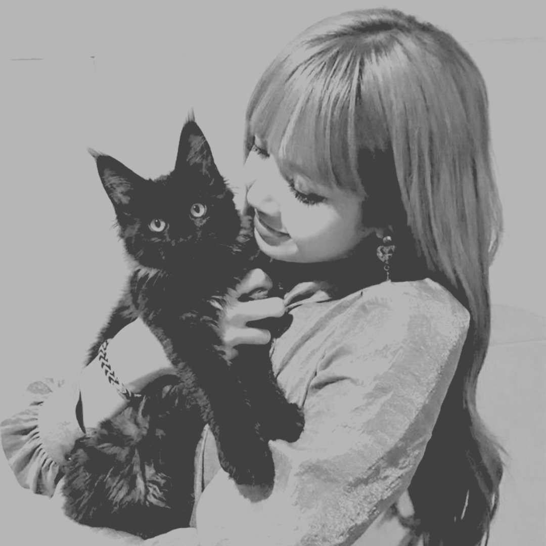 Beifong. tweet media