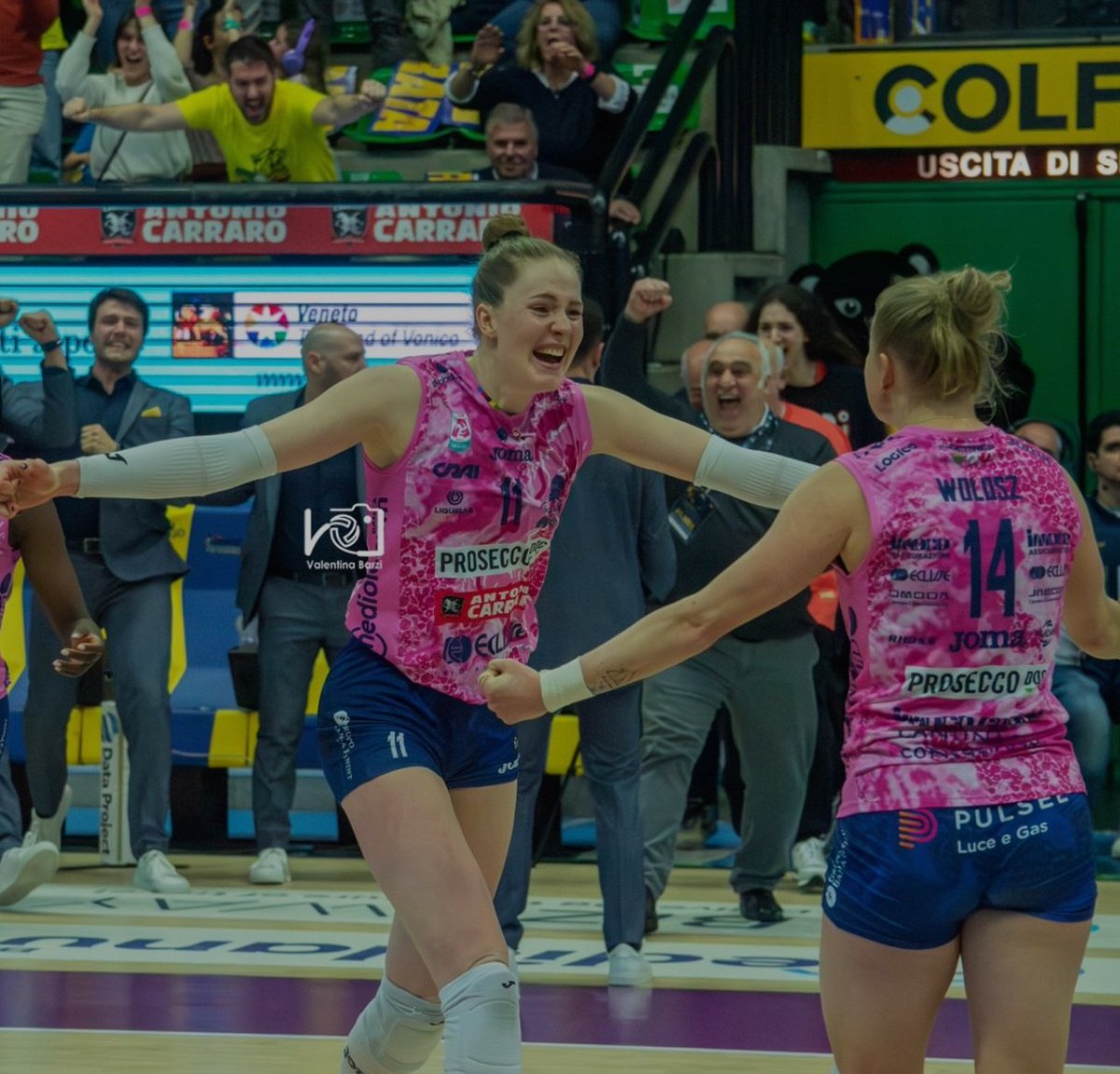 bella haak loops tweet media