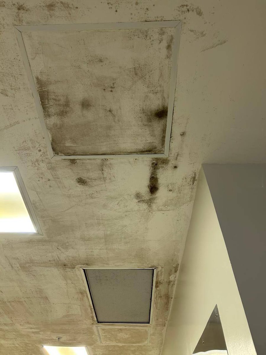 Gabriel Pazmiño tweet media