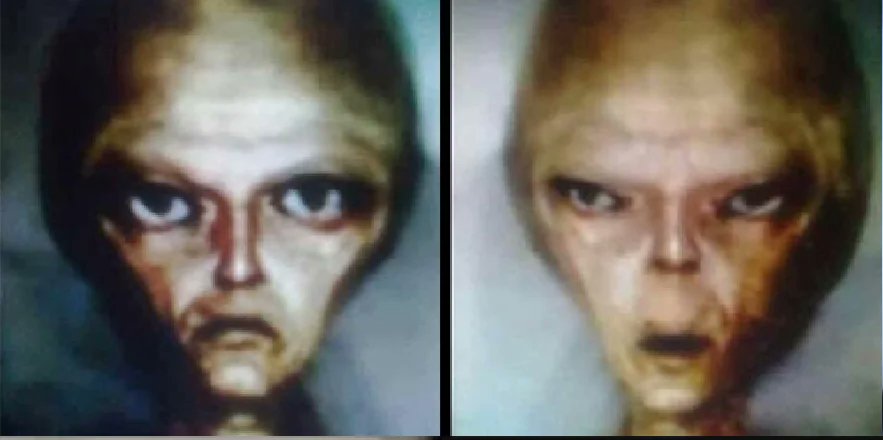 UFO mania tweet media