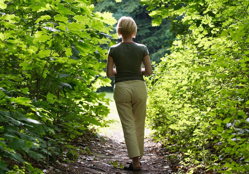 The Doctor tweet media