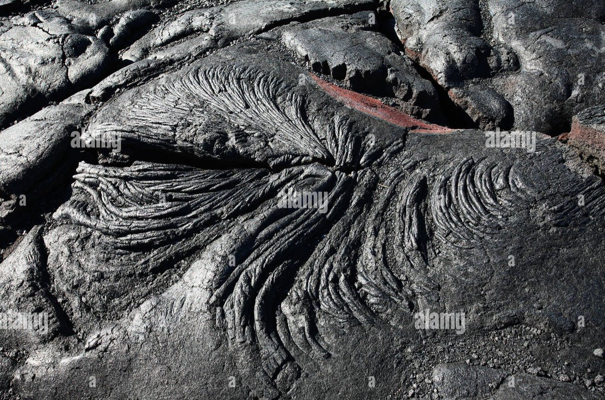 ₿en Wehrman tweet media