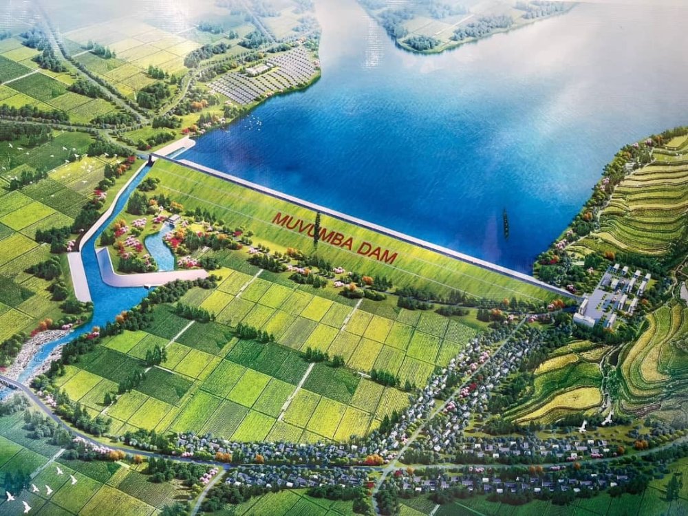 Calvin Mutsinzi tweet media