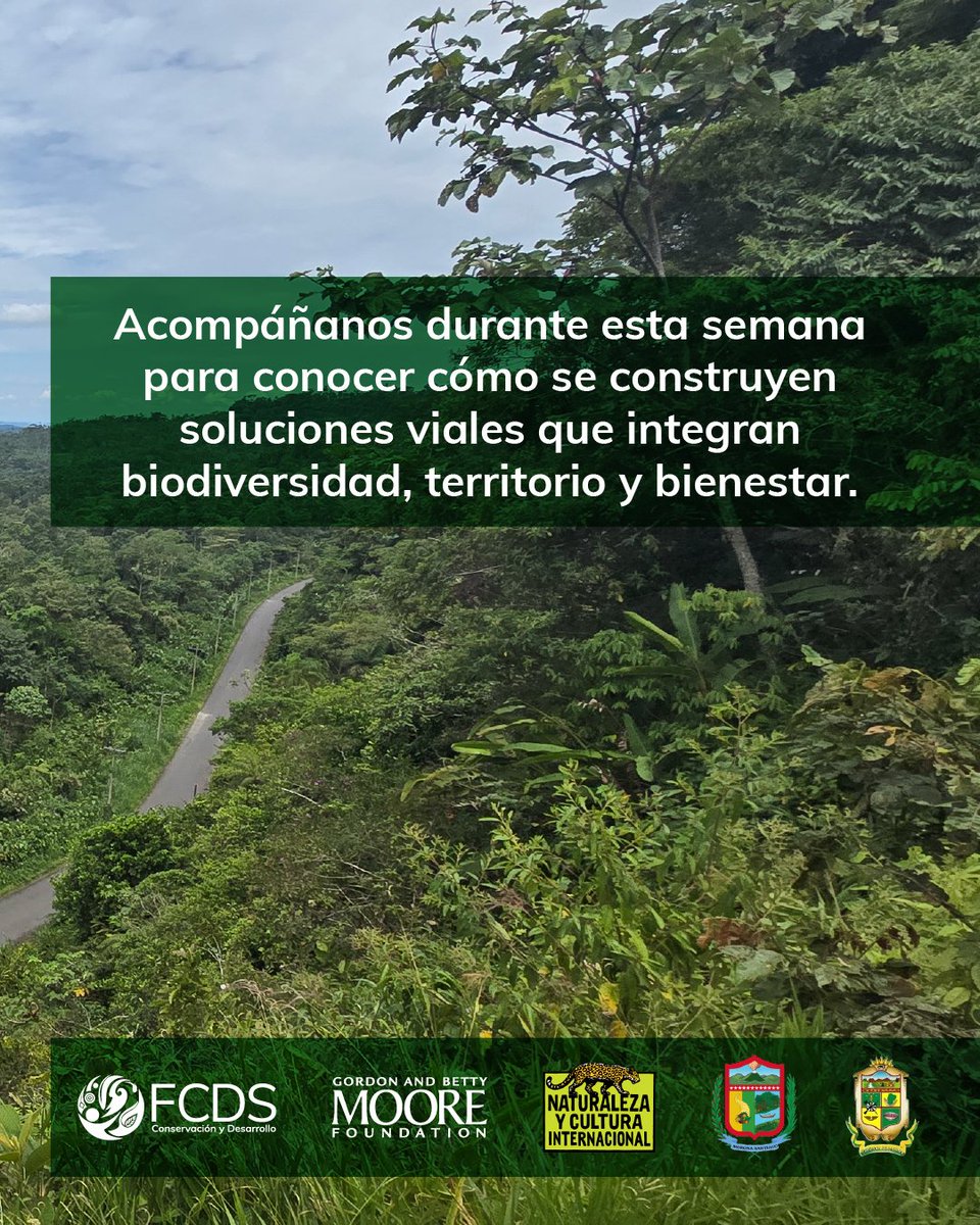 Fundación para la Conservación y el Desarrollo tweet media