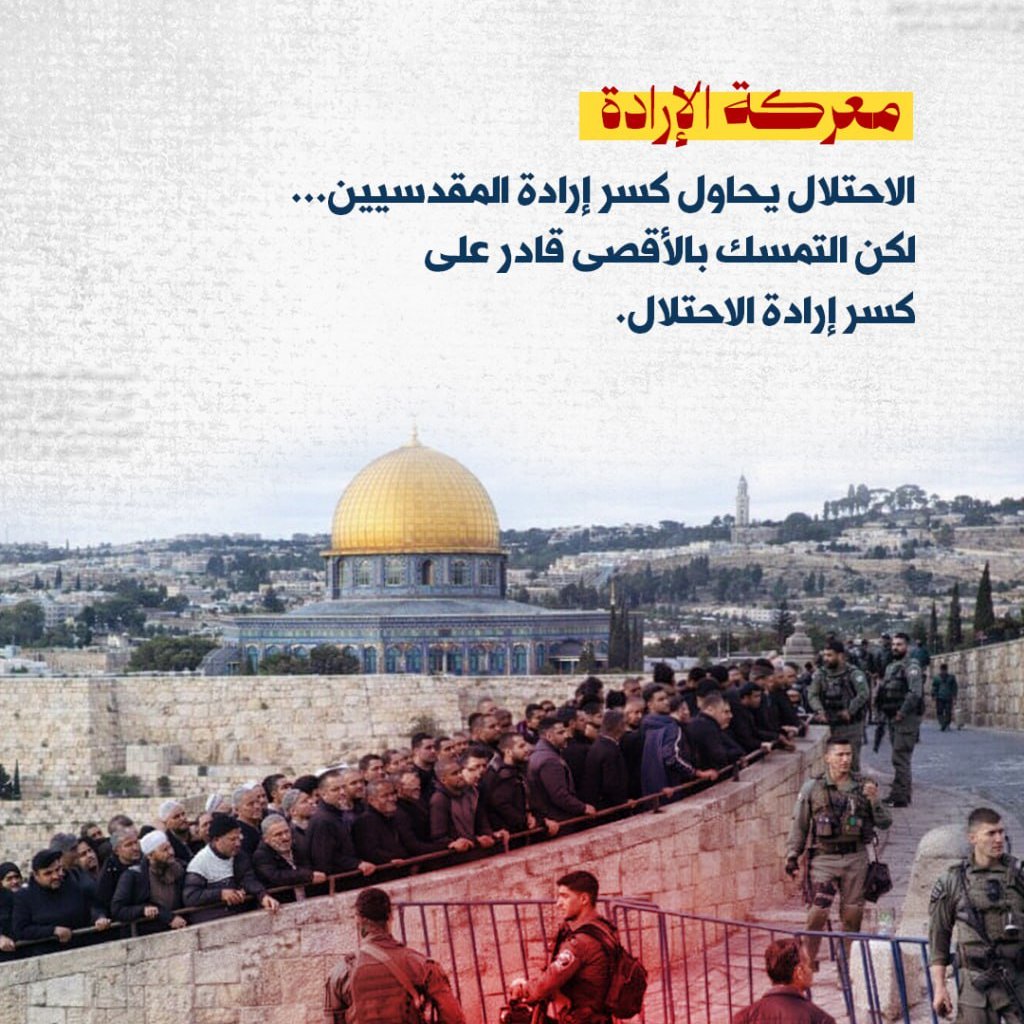 FİMED - TR tweet media