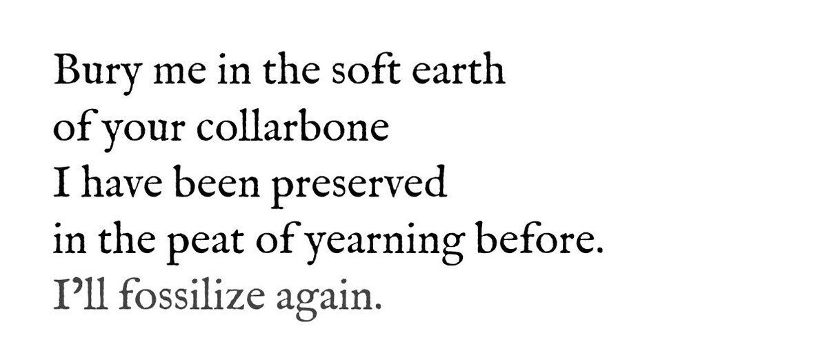 Literarium tweet media