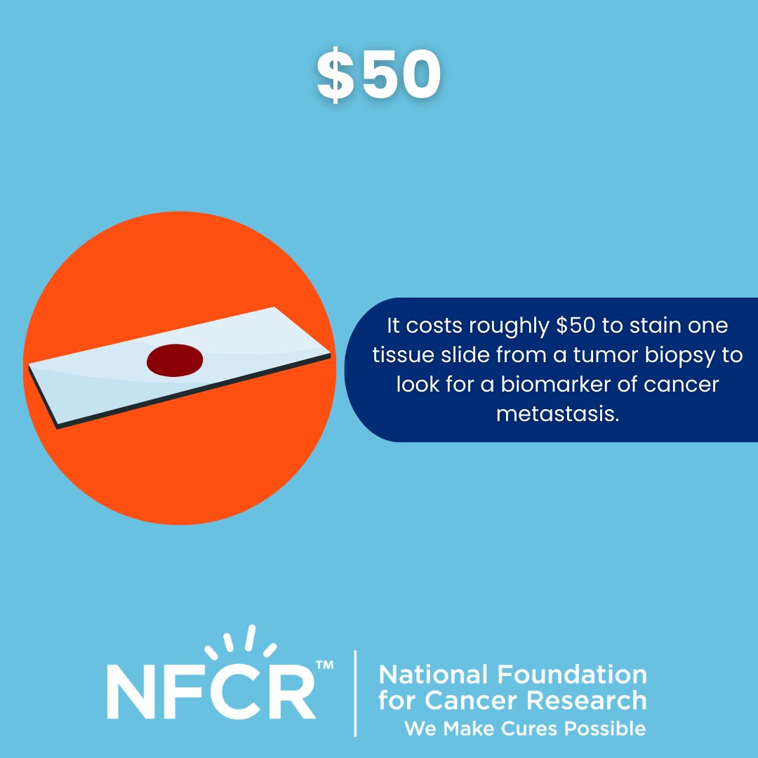 National Foundation for Cancer Research tweet media