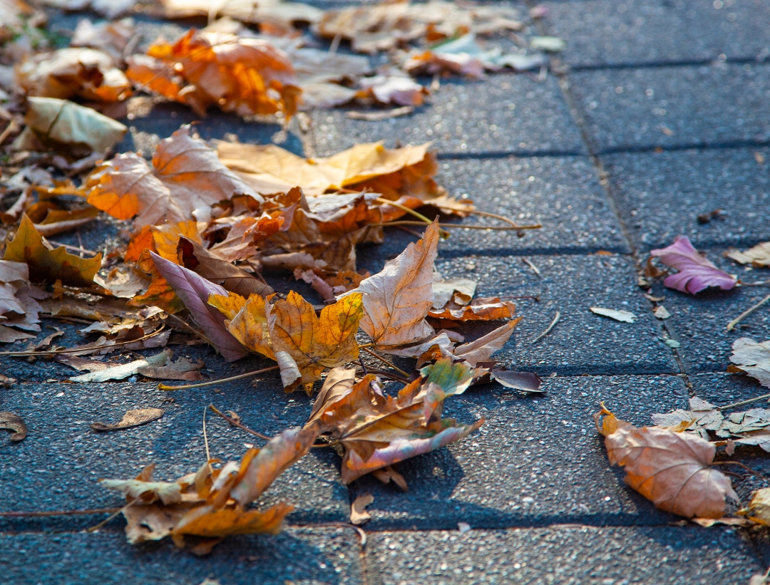 Carrie Casto tweet media