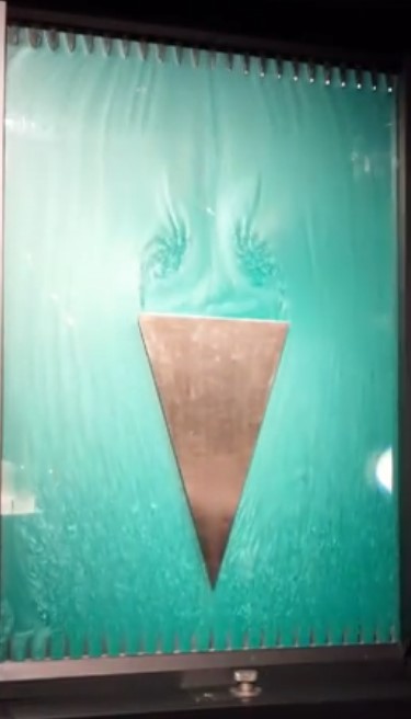 Lauren Agout tweet media