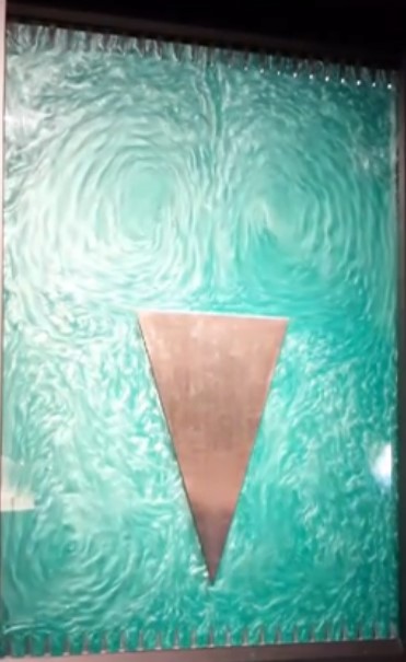 Lauren Agout tweet media