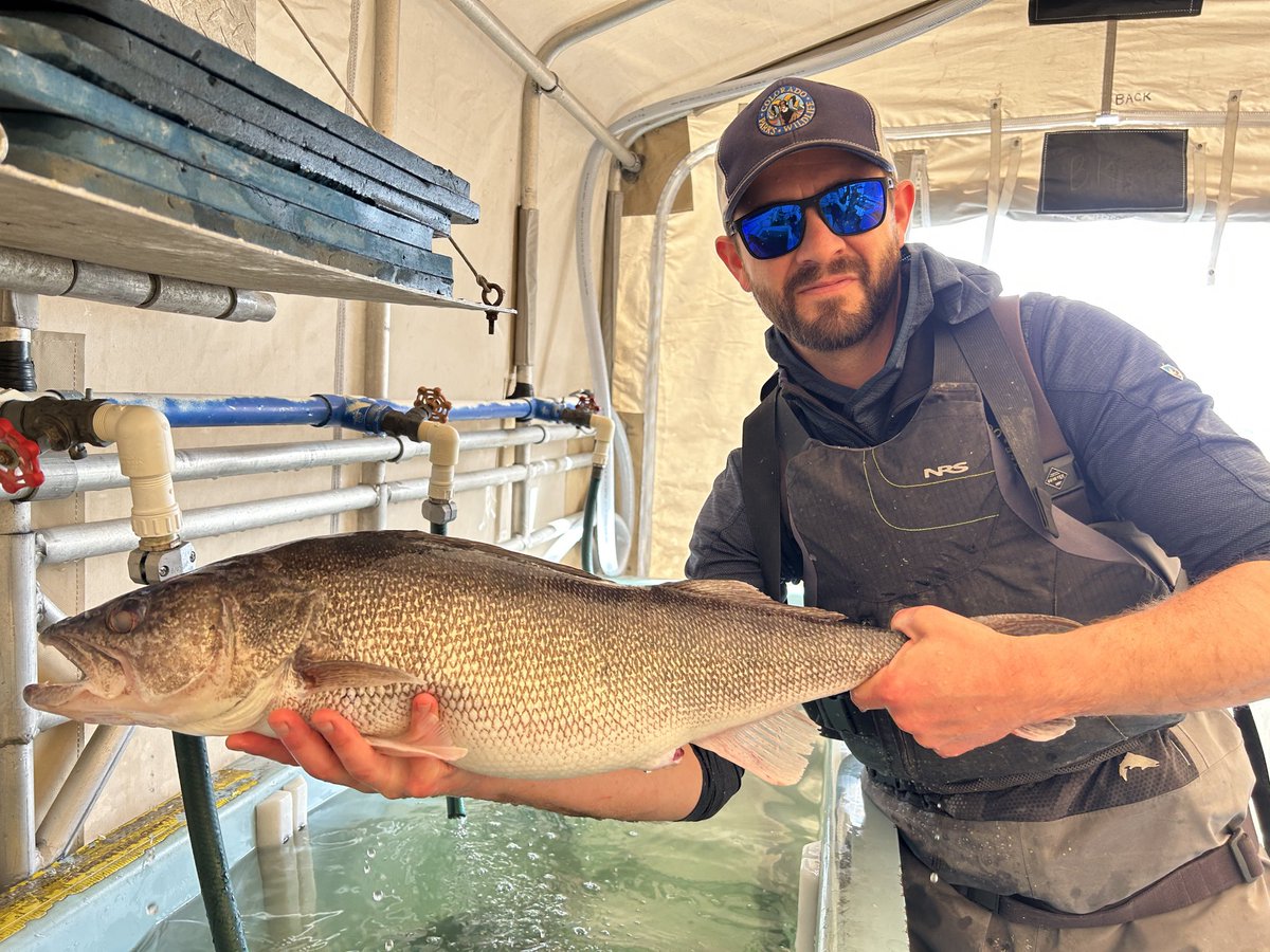 CPW NE Region tweet media