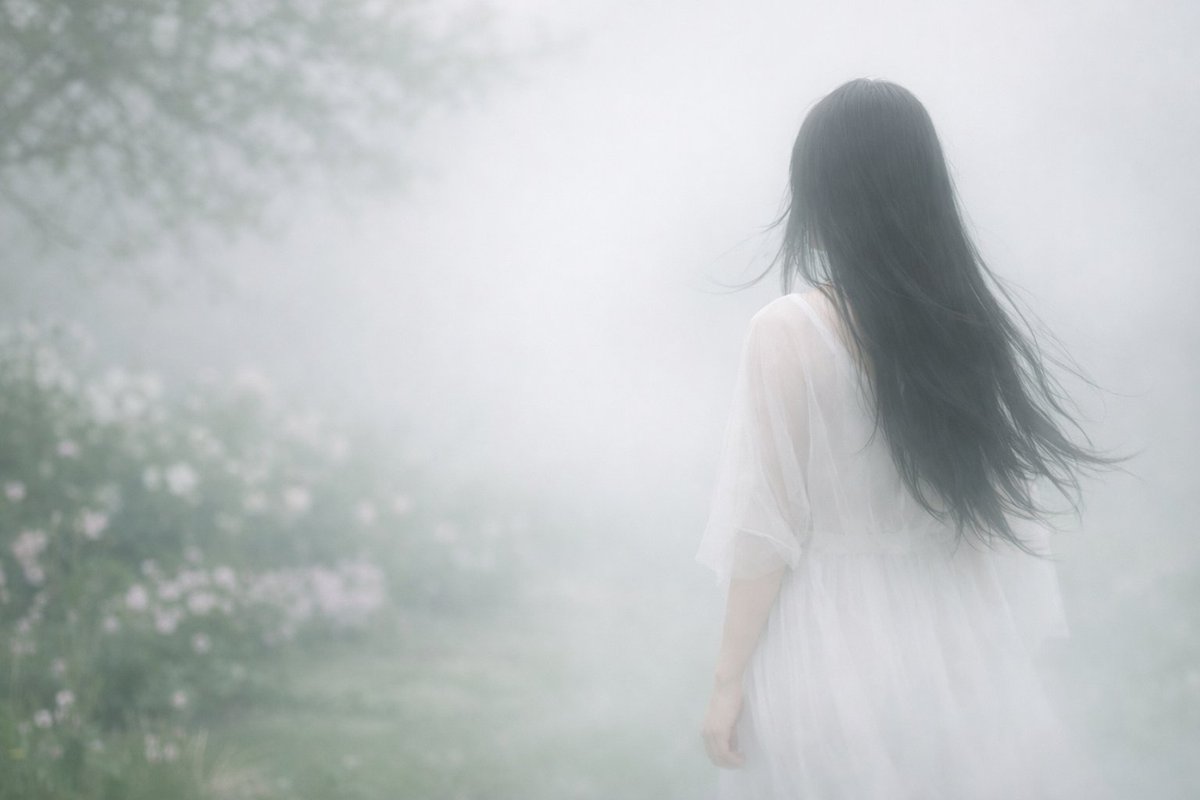 Live Up To Freedom🇺🇸 tweet media