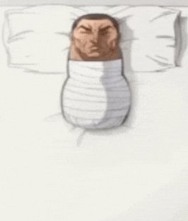 TOXO1FER tweet media