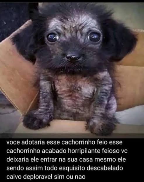 vini ☆ tweet media