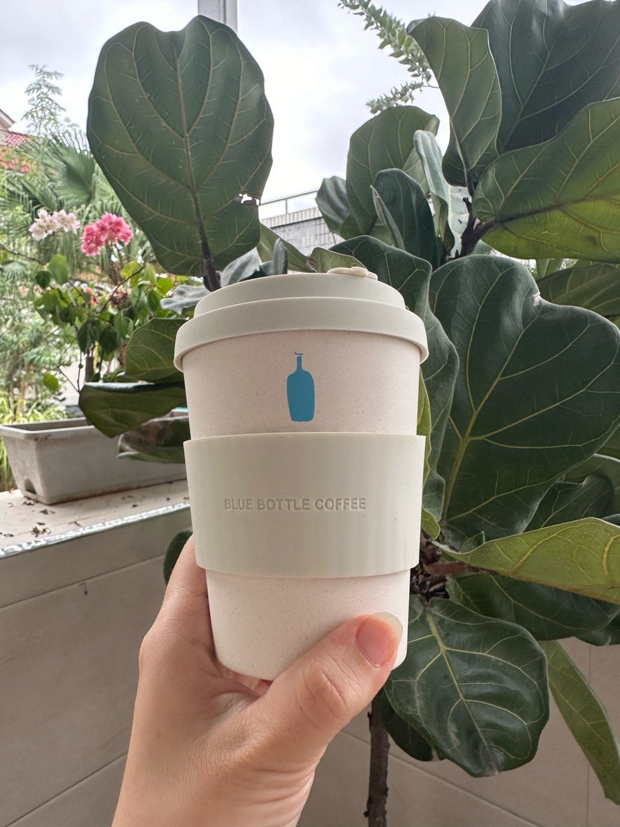 shannon peterson tweet media