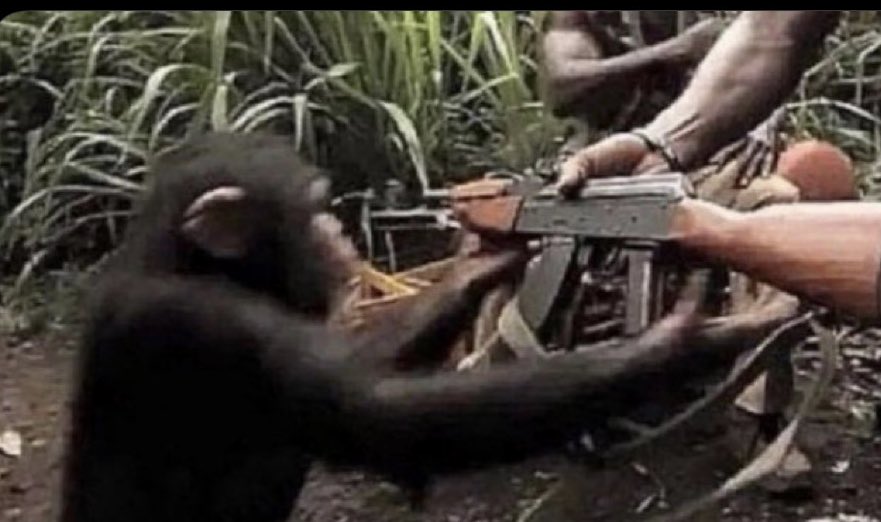 nikhil · sys/quests tweet media