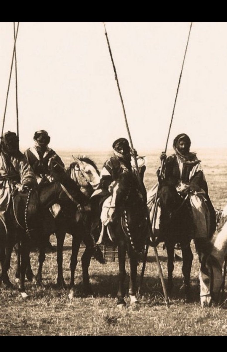 طرماح tweet media