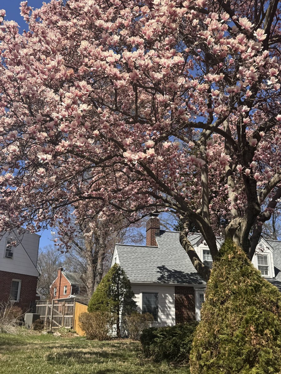 Court ✨ tweet media