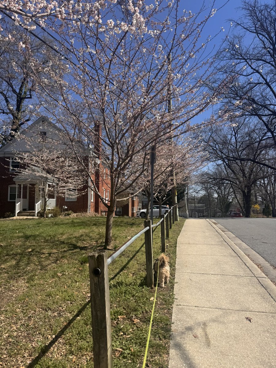 Court ✨ tweet media