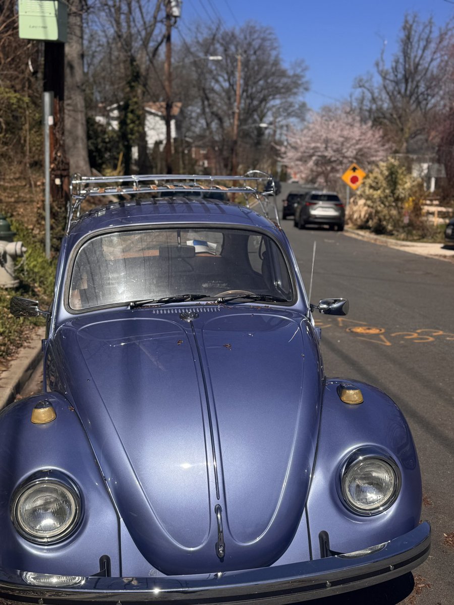 Court ✨ tweet media