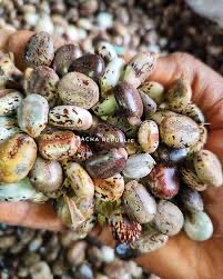 Maryam_Skit👑 tweet media