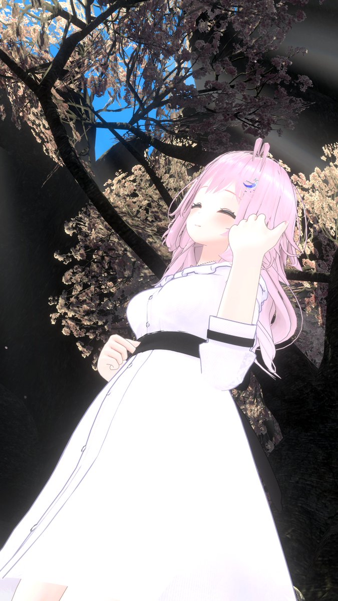 NoktanLumi／のくたんるーみ tweet media