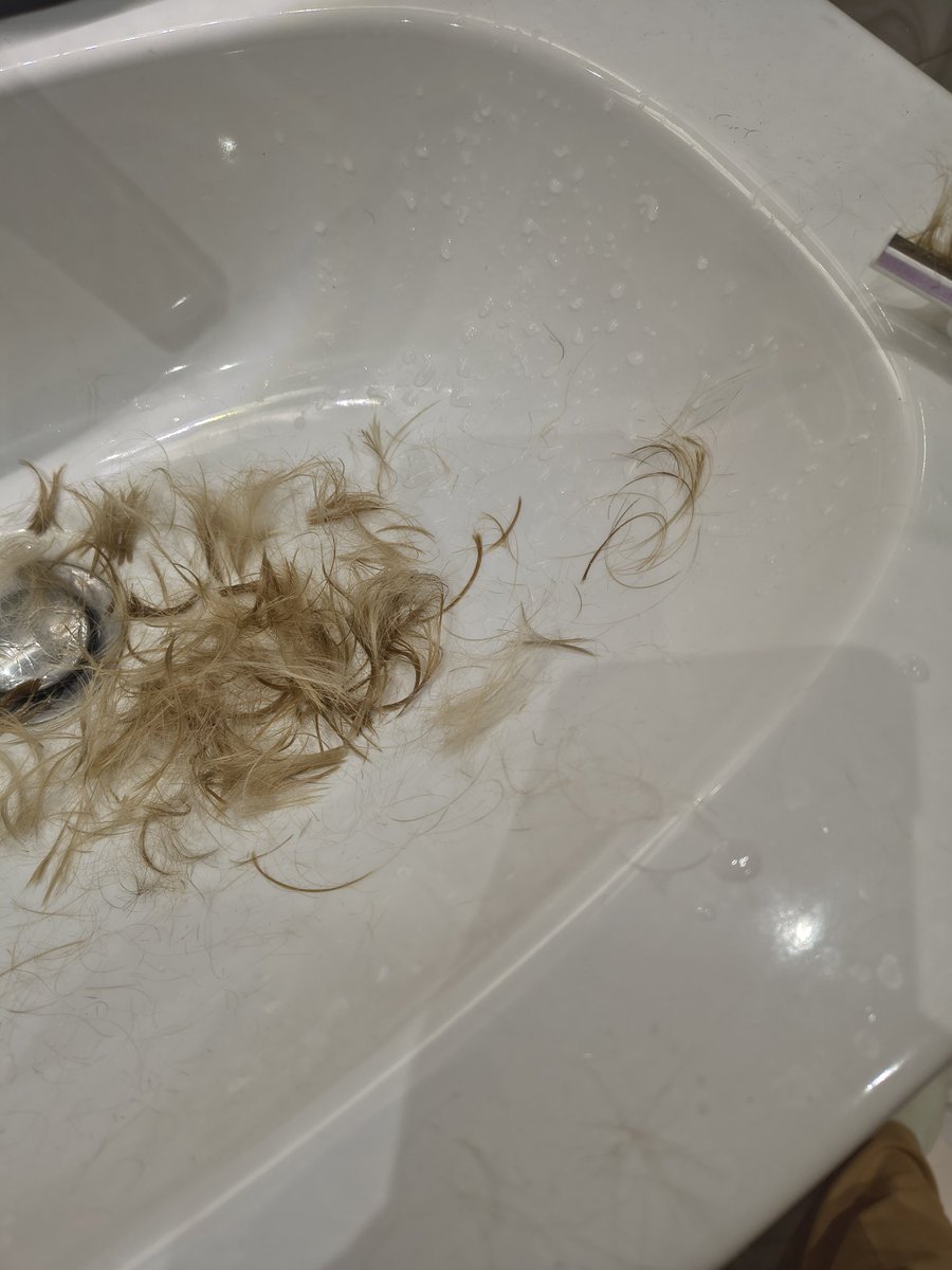 Лека Партийна Жена° tweet media