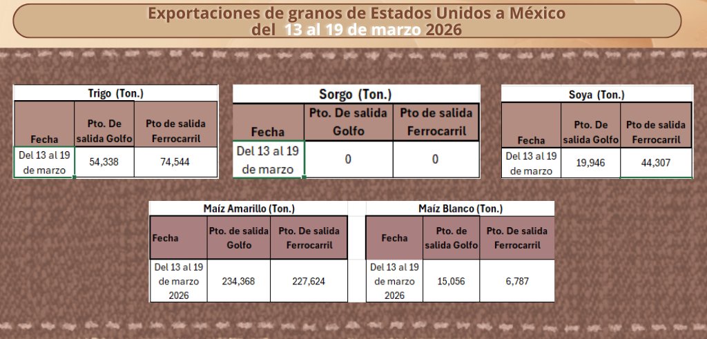 ANEC, A.C. tweet media