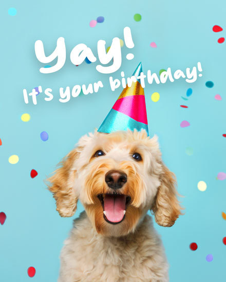 元キグパフォーマー、茂さん tweet media