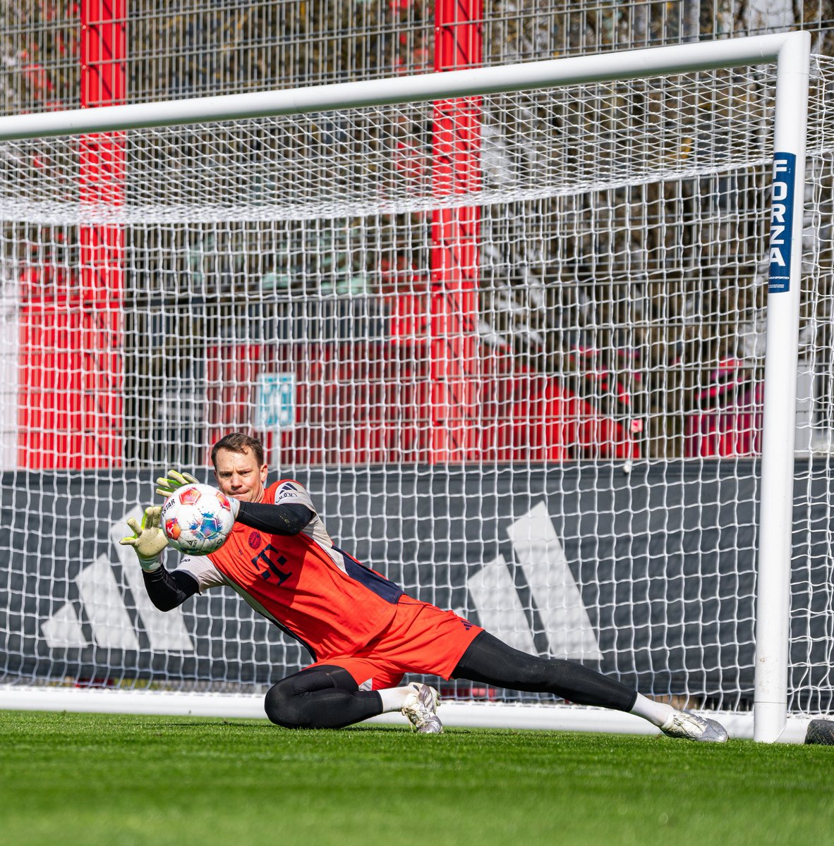 جريدة الرياض - رياضة tweet media