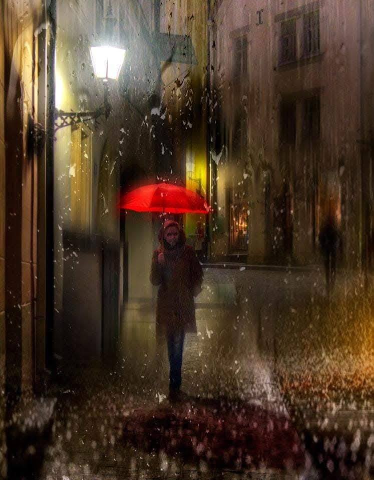 𝙈𝙖𝙟𝙖 𝙎𝙚𝙣𝙙𝙖  tweet media