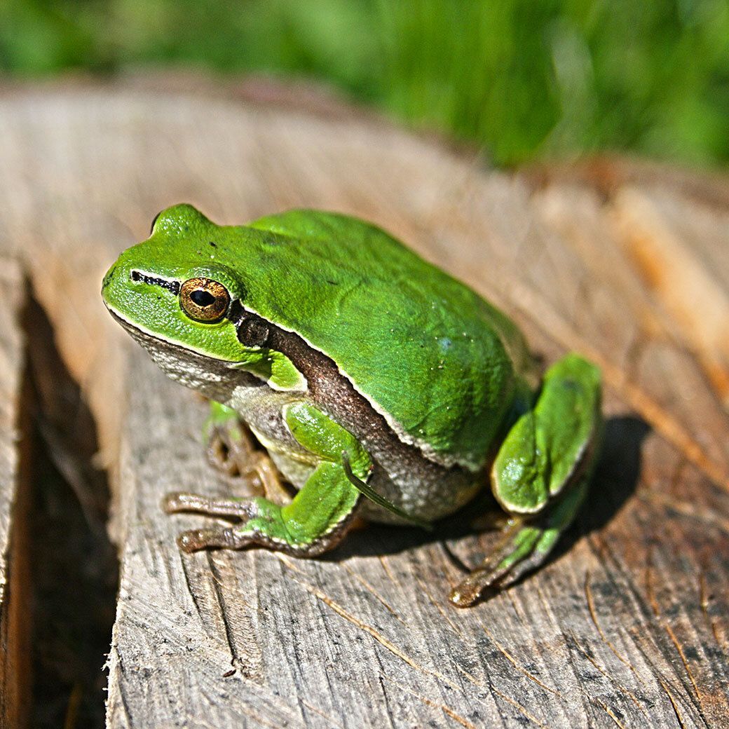 cjgilbertwebpro's tweet image. Big goals for spring?
Don’t croak under pressure—get help from @AskAWebGeek.
Websites, tools, marketing… bring it on.
👉 buff.ly/iNd6Wj0

#MarchGoals #AskAWebGeek #businesssupport