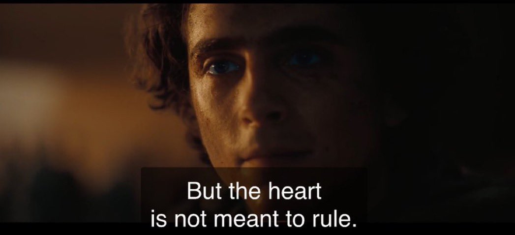 usul 🐁 tweet media