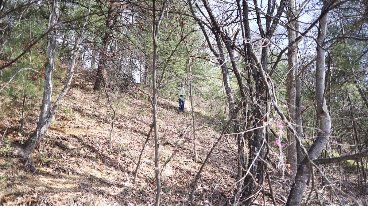 Sammy Oakey tweet media